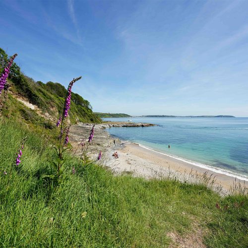 bream cove